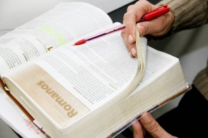 Reading regularly the Bible and studying it thoroughly - Regelmatig de Bijbel lezend en zorgvuldig bestuderend